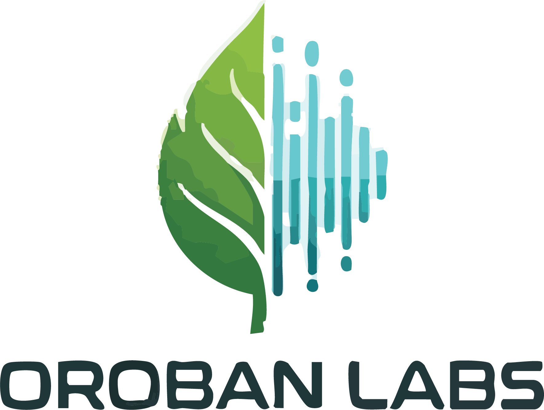 Logo 3a